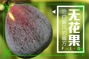 脸上出现白斑是怎么了？身体出现白斑的原因是为啥-为什么患上