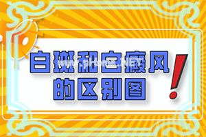 虫斑和白斑的区别图片-如何辅助治疗能[推荐阅读]